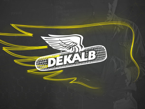 hlk | dekalb